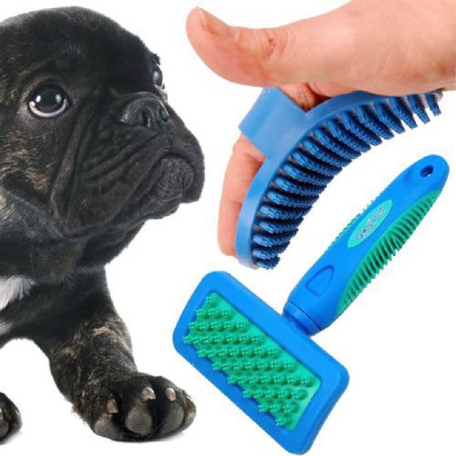 Badeb&uuml;rsten f&uuml;r kurzhaarige Hunde